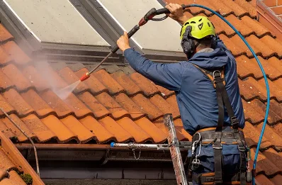 Démoussage et hydrofuge de toiture au Château-d'Almenêches